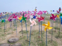 [포토뉴스] 임진각 평화누리공원에서 부는 평화의 바람 : : 경기도뉴스포털 [포토뉴스] 임진각 평화누리공원에서 부는 평화의 바람