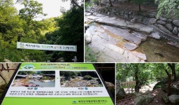 여름 물놀이는 물론, 등산 후 탁족하기 좋은 계곡 : 양주시 `송추계곡` : : 경기도뉴스포털 여름 물놀이는 물론, 등산 후 탁족하기 좋은 계곡... 