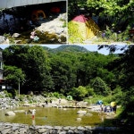 사상 최대 가뭄에도 수량이 풍부한 계곡! 경기도 안양예술공원 계곡 : : 경기도뉴스포털 사상 최대 가뭄에도 수량이 풍부한 계곡! 경기도... 