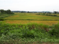 가을바람이 산들산들 부는 경기옛길을 따라 : : 경기도뉴스포털 가을바람이 산들산들 부는 경기옛길을 따라