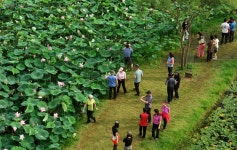 “올가을 누림센터와 함께 무장애여행 떠나요~” : : 경기도뉴스포털 “올가을 누림센터와 함께 무장애여행 떠나요~”
