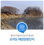 볼거리 먹을거리 놀거리 풍성한 오이도 해양관광단지 : : 경기도뉴스포털 볼거리 먹을거리 놀거리 풍성한 오이도 해양관광단지 