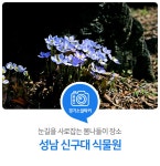 눈길을 사로잡는 봄나들이 장소. 성남 신구대 식물원 : 일반기자단 : 경기도뉴스포털 눈길을 사로잡는 봄나들이 장소. 성남 신구대 식물원