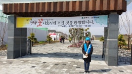 봄꽃 축제로 떠나자! 평택꽃나들이로 즐기자! : 기회기자단 : 경기도뉴스포털 봄꽃 축제로 떠나자! 평택꽃나들이로 즐기자!
