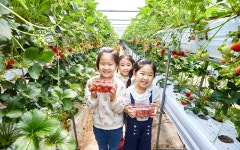 [지금 여기] 자연이 주는 선물 : 나의 경기도 : 경기도뉴스포털 [지금 여기] 자연이 주는 선물