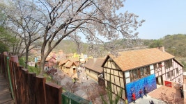 한국 안의 작은 프랑스마을 ‘쁘띠프랑스` : : 경기도뉴스포털 한국 안의 작은 프랑스마을 ‘쁘띠프랑스`