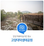 한강 하류에 숨겨진 명소! 고양대덕생태공원 : 경기도뉴스포털 : 경기도뉴스포털 한강 하류에 숨겨진 명소! 고양대덕생태공원