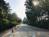 [스토리] 예술가와 관객이 함께 호흡한 ‘숲속의 파티’ : : 경기도뉴스포털 [스토리] 예술가와 관객이 함께 호흡한 ‘숲속의 파티’