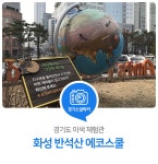 생태탐험대 출동! 생생한 자연체험 가득한 화성 반석산 에코스쿨 : 경기도뉴스포털 : 경기도뉴스포털 생태탐험대 출동! 생생한 자연체험 가득한... 