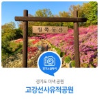 고강선사유적공원 : 경기도뉴스포털 : 경기도뉴스포털 꽃길만 걷자! 철쭉동산에서 즐기는 5월. 고강선사유적공원