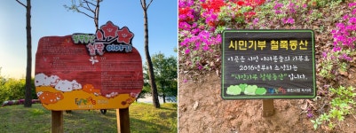 철쭉동산에서 즐기는 5월. 고강선사유적공원 : 일반기자단 : 경기도뉴스포털 꽃길만 걷자! 철쭉동산에서 즐기는 5월. 고강선사유적공원