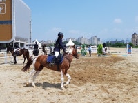[포토뉴스] 승마&#63; 더 이상 고급 레포츠 아닌 대중 레포츠로 거듭나다... [포토뉴스] 승마? 더 이상 고급 레포츠 아닌 대중 레포츠로 거듭나다