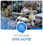풍성한 해산물이 눈을 즐겁게 하는 경기도 전통시장. 오이도 수산시장 : 일반기자단 : 경기도뉴스포털 풍성한 해산물이 눈을 즐겁게 하는 경기도... 