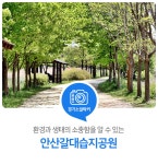 안산갈대습지공원 : 경기도뉴스포털 : 경기도뉴스포털 아름다운 경관 속에서 느끼는 환경과 생태의 소중함! 안산갈대습지공원