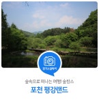 숲속으로 떠나는 여행! 숲캉스. 포천 평강랜드 : 일반기자단 : 경기도뉴스포털 숲속으로 떠나는 여행! 숲캉스. 포천 평강랜드