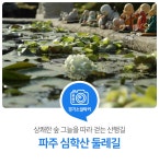 경기도뉴스포털