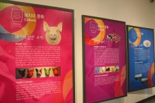 돼지보러오면돼지?! 돼지 교육농장, 경기도 이천 돼지박물관 : : 경기도뉴스포털 돼지보러오면돼지?! 돼지 교육농장, 경기도 이천 돼지박물관