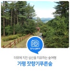 더위에 지친 심신을 치유하는 숲여행! 가평 잣향기푸른숲 : : 경기도뉴스포털 더위에 지친 심신을 치유하는 숲여행! 가평 잣향기푸른숲