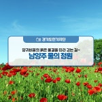 양귀비꽃의 붉은 물결을 따라 걷는 길! 남양주 물의 정원 : : 경기도뉴스포털 양귀비꽃의 붉은 물결을 따라 걷는 길! 남양주 물의 정원