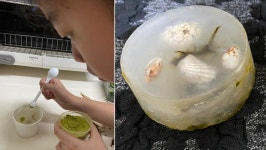 보도자료 | 경기도소식 | 새소식 | 시정소식 | 부천시청  보도자료 | 경기도소식 | 새소식 | 시정소식 | 부천시청