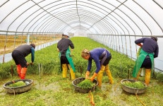 	기사게시판 | 	의왕시