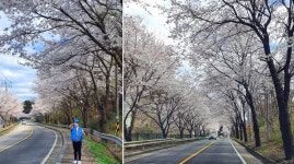 	기사게시판 | 	의왕시