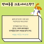 소중한 반려동물 의료비 걱정 끝! 돌봄 취약가구 반려동물 의료서비스 : : 경기도뉴스포털 소중한 반려동물 의료비 걱정 끝! 돌봄 취약가구... 