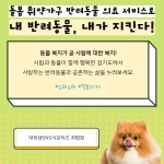 돌봄 취약가구 반려동물 의료서비스 : : 경기도뉴스포털 소중한 반려동물 의료비 걱정 끝! 돌봄 취약가구 반려동물 의료서비스