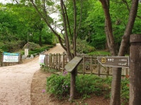 뉴스 상세 | 경기도소식 | 새소식 | 부천소식 | 부천시청 뉴스 | 경기도소식 | 새소식 | 부천소식 | 부천시청