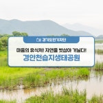 자연을 벗삼아 거닐다! 경안천습지생태공원 : : 경기도뉴스포털 [경기도민기자단] 마음의 휴식처! 자연을 벗삼아 거닐다! 경안천습지생태공원