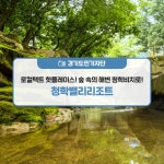 숲 속의 해변 청학비치로! 청학밸리리조트 : : 경기도뉴스포털... [경기도민기자단]로컬택트 핫플레이스! 숲 속의 해변 청학비치로! 청학밸리리조트