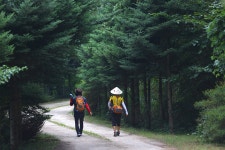 작게, 간편하게, 나답게!… 1인가구 전성시대 : 사회 : 경기도뉴스포털 작게, 간편하게, 나답게!… 1인가구 전성시대