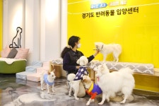 뉴스 | 경기도소식 | 새소식 | 부천소식 | 부천시청