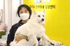 복지②] 귀여운 아이들을 만나볼 수 있는 이곳은 어디? : : 경기도뉴스포털 [반려동물 복지②] 귀여운 아이들을 만나볼 수 있는 이곳은 어디?