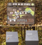 뉴스 | 경기도소식 | 새소식 | 부천소식 | 부천시청