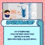 [카드뉴스] 집에서 손쉽게 만드는 곤충 표본 : : 경기도뉴스포털 [카드뉴스] 집에서 손쉽게 만드는 곤충 표본