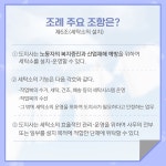 보도자료 상세 | 경기도소식 | 새소식 | 부천소식 | 부천시청 보도자료 | 경기도소식 | 새소식 | 부천소식 | 부천시청