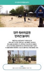 강아지랑, 반려동물 놀이터에서 마음껏 뛰어 노세요! : : 경기도뉴스포털  강아지랑, 반려동물 놀이터에서 마음껏 뛰어 노세요!