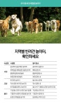 강아지랑, 반려동물 놀이터에서 마음껏 뛰어 노세요! : : 경기도뉴스포털  강아지랑, 반려동물 놀이터에서 마음껏 뛰어 노세요!