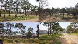 뉴스 | 경기도소식 | 새소식 | 부천소식 | 부천시청