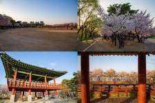 경기도뉴스 상세 | 경기도소식 | 새소식 | 부천소식 | 부천시청 경기도뉴스 | 경기도소식 | 새소식 | 부천소식 | 부천시청
