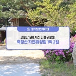 축령산 자연휴양림 1박 2일 : 일반기자단 : 경기도뉴스포털 [경기도민기자단] 코로나19에 지친 나를 위로해! 축령산 자연휴양림 1박 2일