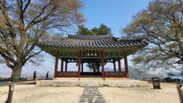 경기도뉴스 상세 | 경기도소식 | 새소식 | 부천소식 | 부천시청 경기도뉴스 | 경기도소식 | 새소식 | 부천소식 | 부천시청