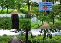 뉴스 | 경기도소식 | 새소식 | 부천소식 | 부천시청