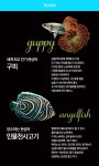 경기도뉴스 상세 | 경기도소식 | 새소식 | 부천소식 | 부천시청 경기도뉴스 | 경기도소식 | 새소식 | 부천소식 | 부천시청