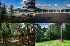 뉴스 | 경기도소식 | 새소식 | 부천소식 | 부천시청