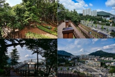 뉴스 | 경기도소식 | 새소식 | 부천소식 | 부천시청