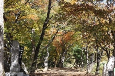 경기도뉴스 상세 | 경기도소식 | 새소식 | 부천소식 | 부천시청 경기도뉴스 | 경기도소식 | 새소식 | 부천소식 | 부천시청