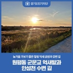 [경기도민기자단] 늦가을 가보기 좋은 힐링 억새 공원과 강변 길 평택 억새 여행지 `원평동 군문교 억새밭`과 `안성천 수변 길` : : 경기도뉴스포털... 