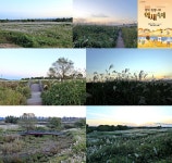 뉴스 | 경기도소식 | 새소식 | 부천소식 | 부천시청